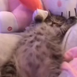 🎀