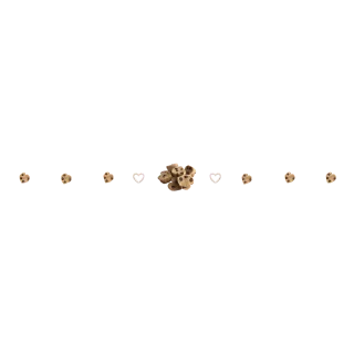 🍪