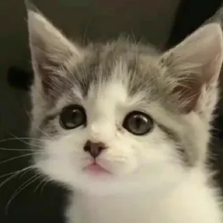 😐