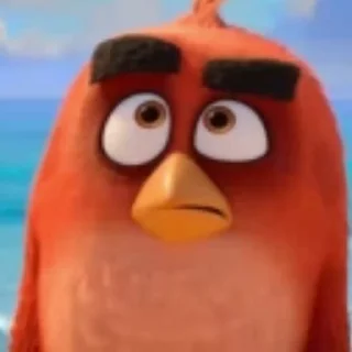 🤨
