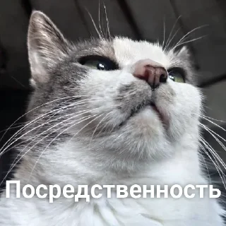 😈