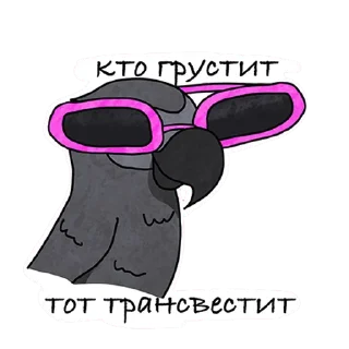 😎