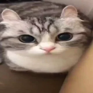 🤯