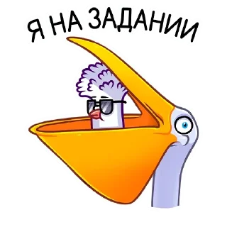 😎