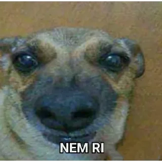 😐