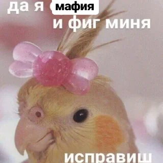 😎