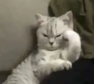 😳