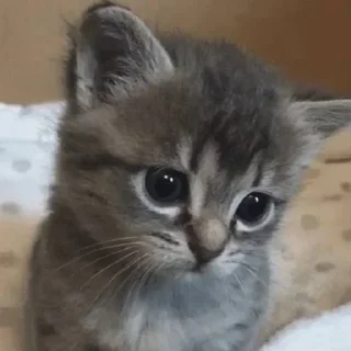 😕