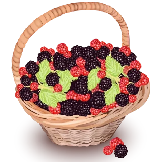 🍇