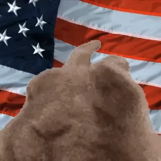 🇺🇸