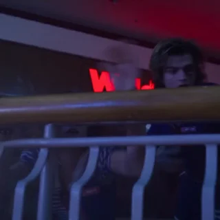 🪻