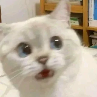 😲