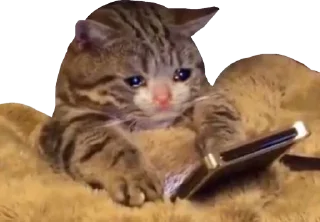 📱