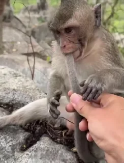 🤩