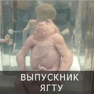 🥸