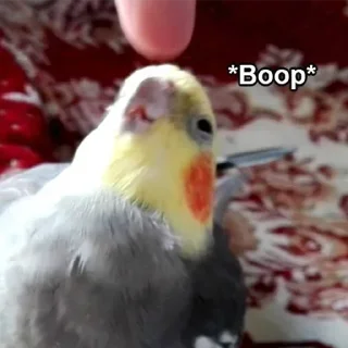 🤔