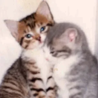💕