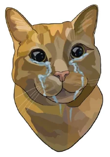 😭