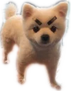 😠
