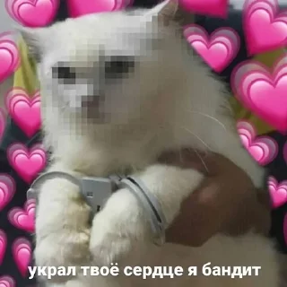 😎