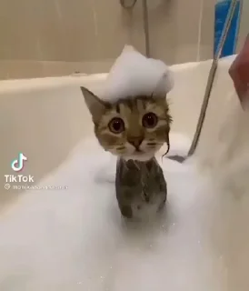 🥺