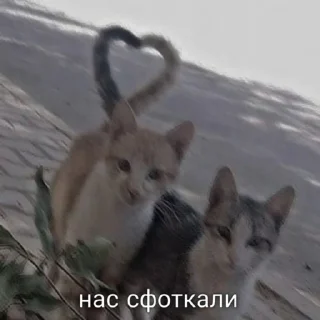 💗