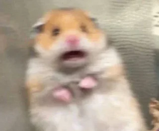 😱