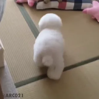 🚶