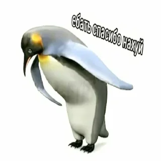 🥴