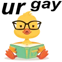 🐥