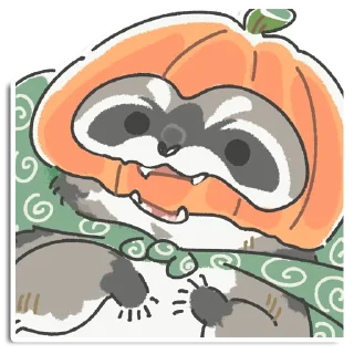 🦝