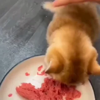 🤩