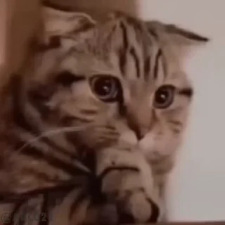 🤔