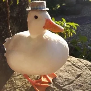 🎩