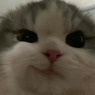 😏