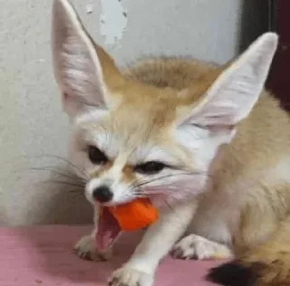 🍓