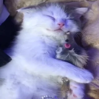 🤗