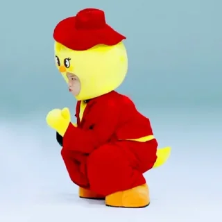🐤
