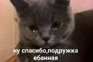 😩