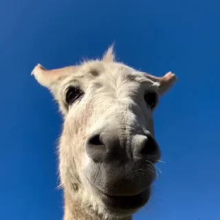 🙂