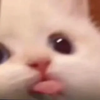 😛