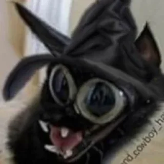 🧙‍♂️