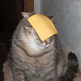 🧀