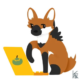 💻