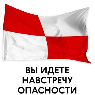 😎