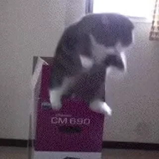 🏃‍♂