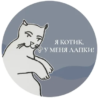 😸