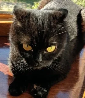 😳