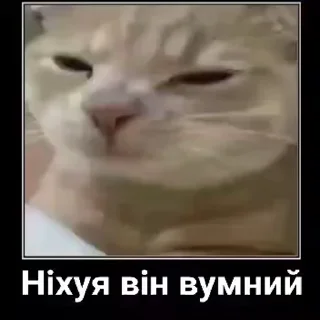 🧐