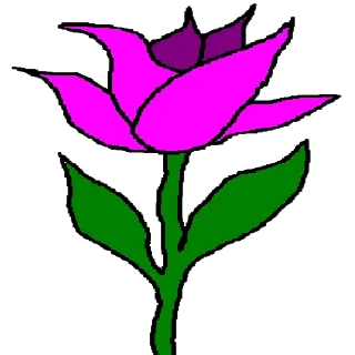 🌷